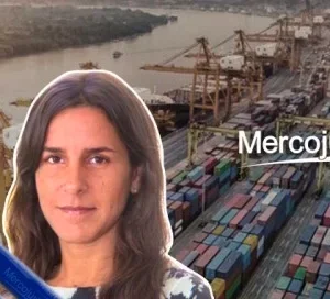 Tratamiento Parlamentario del Proyecto de ley “ Bases”, sobre temas aduaneros / Aprobación en Diputados – Dra. Ana Julia Gottifredi